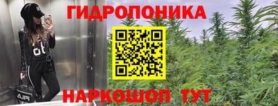сатива Жуковский