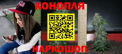 сатива Жуковский